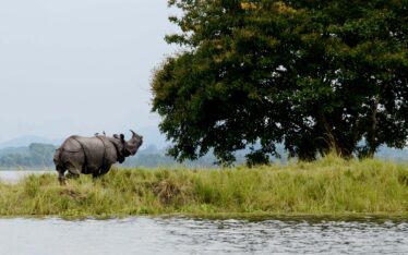 Kaziranga NAtional Park Opening Date