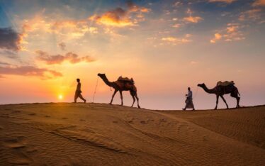 Reasons to visit Rajasthan