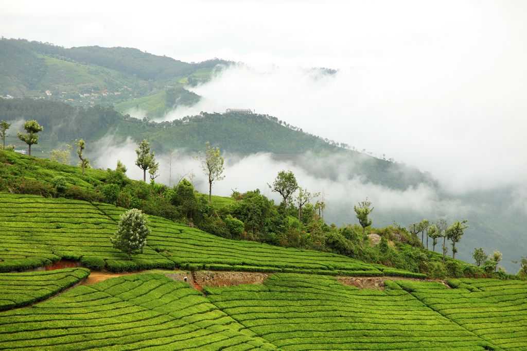 Offbeat Places in India - Coonoor, Tamil Nadu