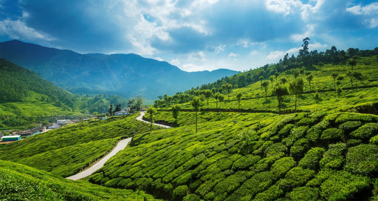 Offbeat Places in India - Idukki Kerala