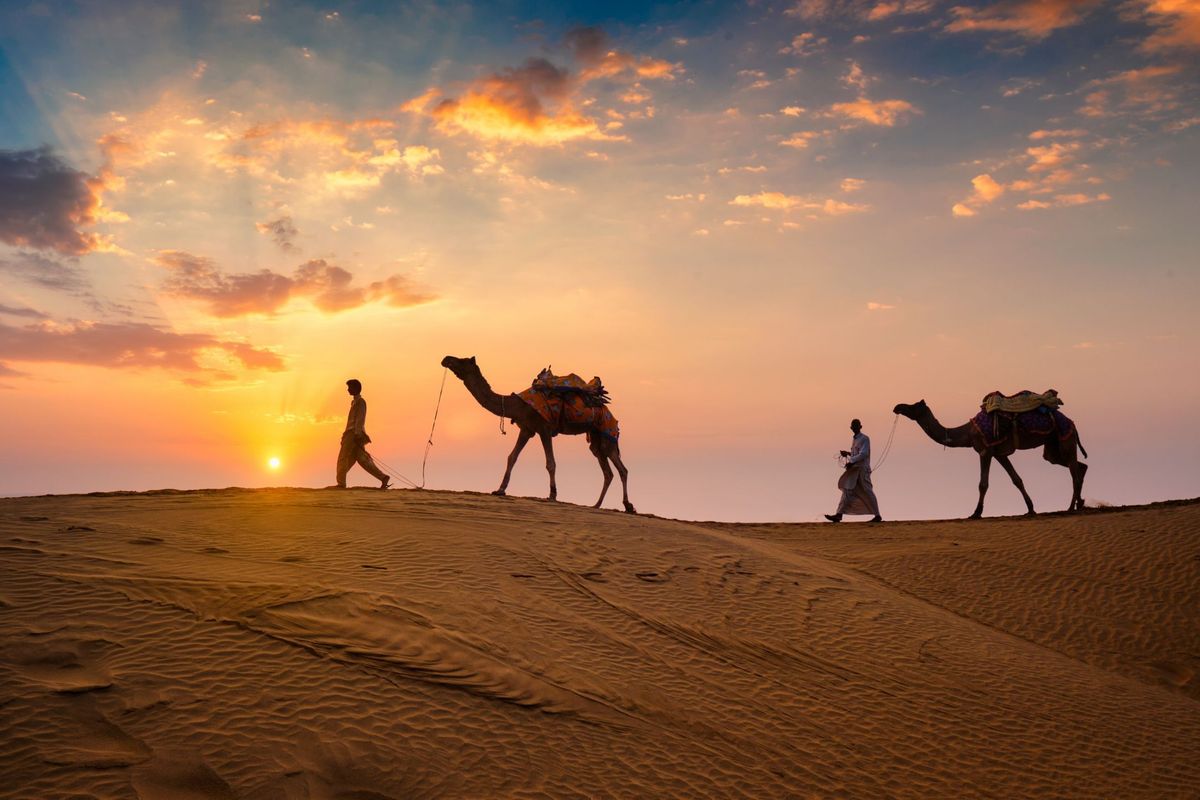 8 Reasons to Visit Rajasthan This February