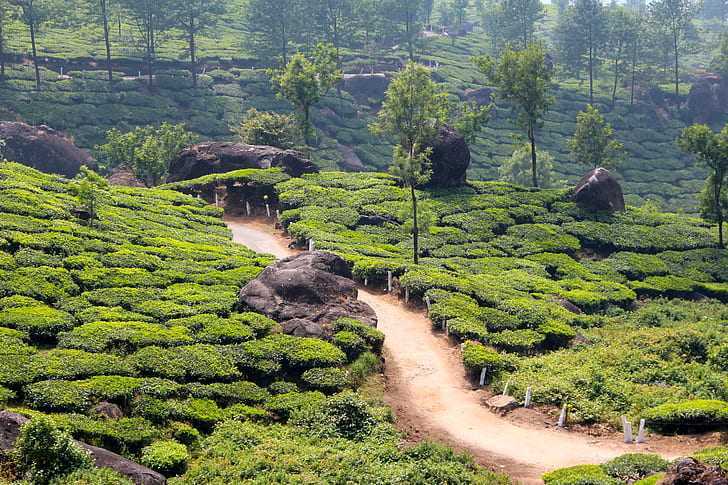 Jorhat Assam: India’s Hottest Travel Destination for 2026, Surpassing Phuket and Berlin